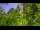 Webcam in Herzberg (Elster), 13.3 mi away