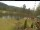 Webcam in Blaibach, 7.3 mi away