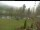 Webcam in Blaibach, 7.3 mi away