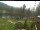 Webcam in Blaibach, 41 km entfernt