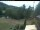 Webcam in Blaibach, 11.7 km