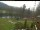 Webcam in Blaibach, 9.5 km entfernt