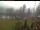 Webcam in Blaibach, 38.4 km