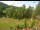 Webcam in Blaibach, 9.8 mi away