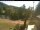 Webcam in Blaibach, 9.8 mi away