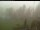 Webcam in Blaibach, 9.8 mi away