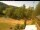 Webcam in Blaibach, 7.3 mi away