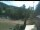 Webcam in Blaibach, 6.1 mi away