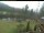 Webcam in Blaibach, 4.5 mi away