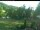 Webcam in Blaibach, 6 mi away