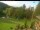 Webcam in Blaibach, 10.4 mi away