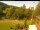 Webcam in Blaibach, 41 km