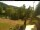 Webcam in Blaibach, 9.4 mi away