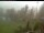 Webcam in Blaibach, 7.3 mi away