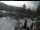 Webcam in Blaibach, 9.5 mi away