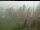 Webcam in Blaibach, 9.8 mi away