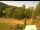 Webcam in Blaibach, 9.8 mi away