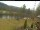 Webcam in Blaibach, 59.9 km
