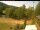 Webcam in Blaibach, 7.3 mi away