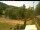 Webcam in Blaibach, 24.6 km