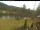 Webcam in Blaibach, 7.3 mi away