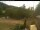 Webcam in Blaibach, 29.6 km entfernt