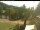 Webcam in Blaibach, 9.8 mi away