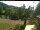 Webcam in Blaibach, 25.5 km