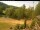 Webcam in Blaibach, 9.5 mi away