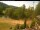 Webcam in Blaibach, 9.8 mi away