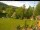 Webcam in Blaibach, 36.3 km