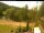 Webcam in Blaibach, 54.2 km entfernt