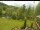 Webcam in Blaibach, 22.2 mi away