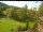 Webcam in Blaibach, 7.3 mi away