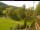 Webcam in Blaibach, 19.1 km