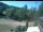 Webcam in Blaibach, 7.3 mi away