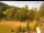 Webcam in Blaibach, 7.3 mi away