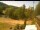 Webcam in Blaibach, 7.3 mi away
