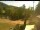 Webcam in Blaibach, 15.6 km entfernt