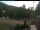 Webcam in Blaibach, 35.9 km entfernt
