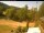 Webcam in Blaibach, 10.4 mi away