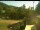 Webcam in Blaibach, 7.3 mi away