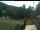 Webcam in Blaibach, 9.5 km entfernt
