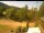 Webcam in Blaibach, 10.4 mi away