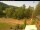 Webcam in Blaibach, 9.8 mi away