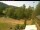 Webcam in Blaibach, 9.5 mi away