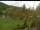 Webcam in Blaibach, 9.8 mi away