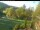 Webcam in Blaibach, 4.8 mi away