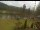 Webcam in Blaibach, 9.5 km