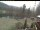 Webcam in Blaibach, 24.5 km